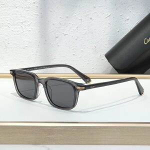 Contemporary CT0586S sunglasses Crystal Grey