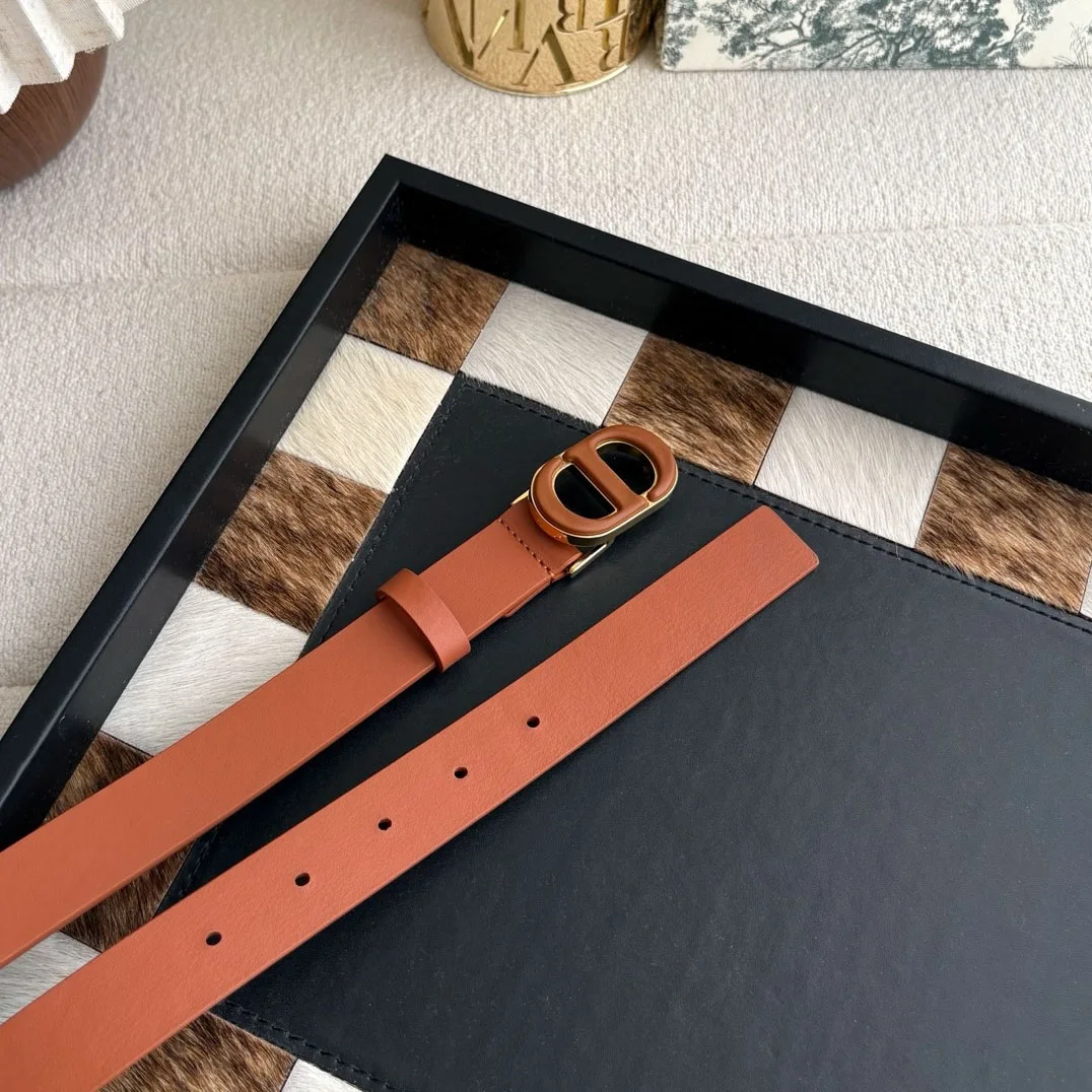 Dior 30 Montaigne brown smooth calfskin belt with antique gold-tone CD buckle
